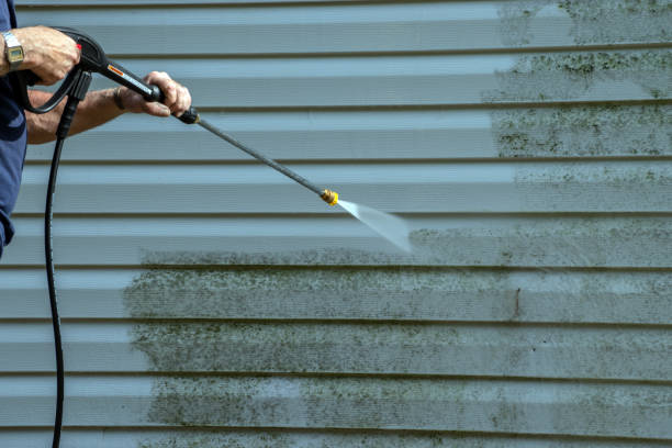 Best Sidewalk Pressure Washing  in Mountain Iron, MN